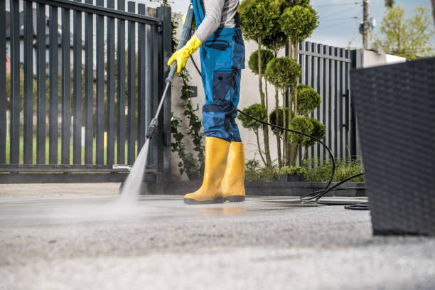 Best Driveway Pressure Washing  in Park Hills, MO